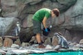 Krakow zoo staff feeding penguins with fish